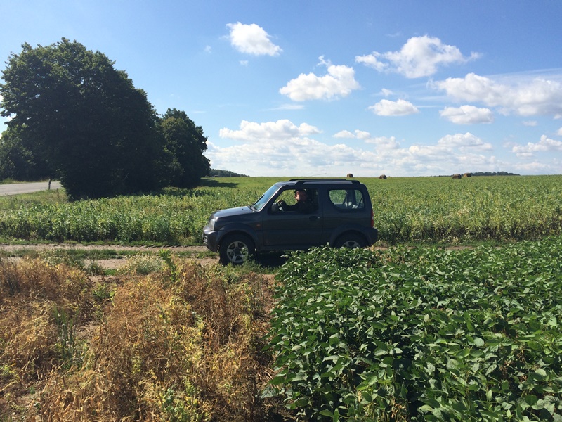 Soja Seitenansicht Juli 2015.JPG