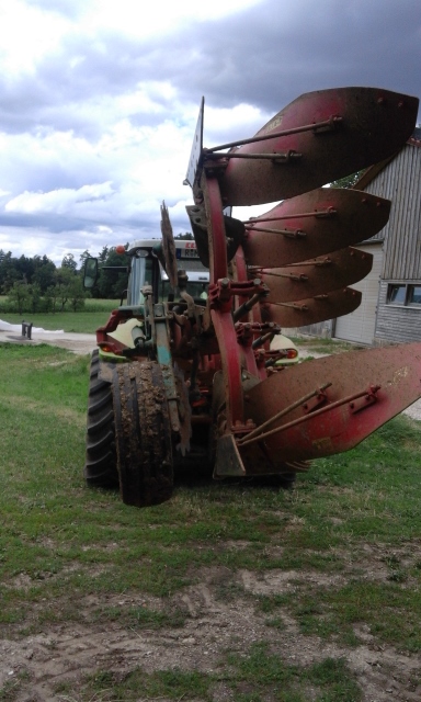 IMG-20150727-WA0008 (384x640).jpg