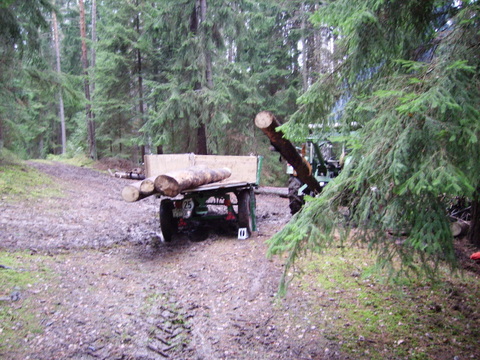 Fixlängen und Brennholz laden 002.jpg