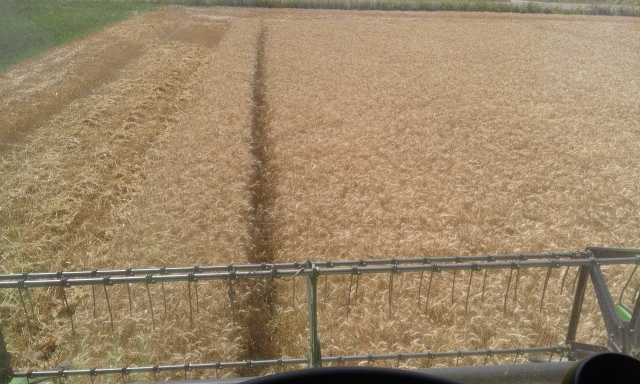 20150803_144331 (640x384).jpg