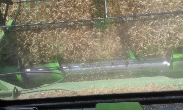 20150803_144314 (640x384).jpg