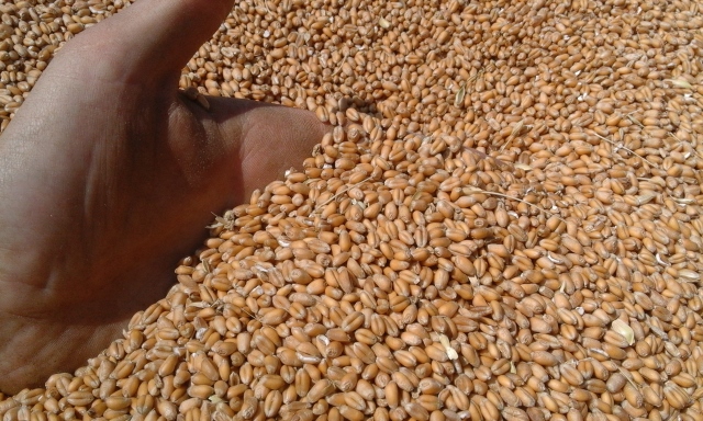 20150803_145732 (640x384).jpg