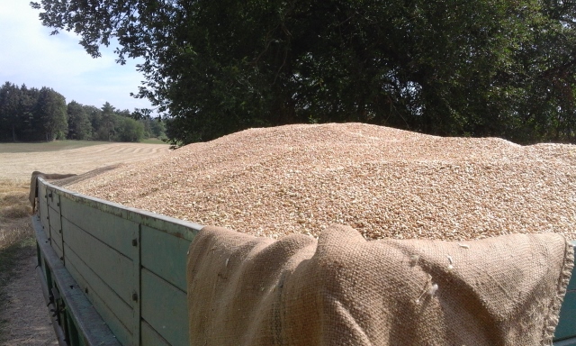 20150804_152915 (640x384).jpg