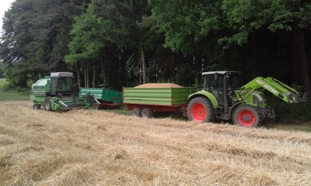 20150804_184606 (640x384).jpg