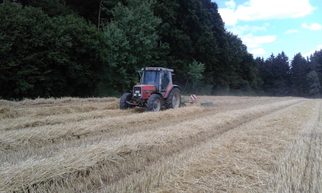 20150805_141650 (640x384).jpg