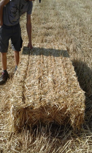 20150805_170715 (384x640).jpg