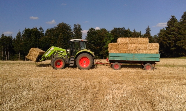 20150805_174023 (640x384).jpg