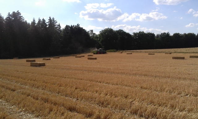 20150805_174120 (640x384).jpg