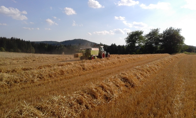 20150805_175936 (640x384).jpg