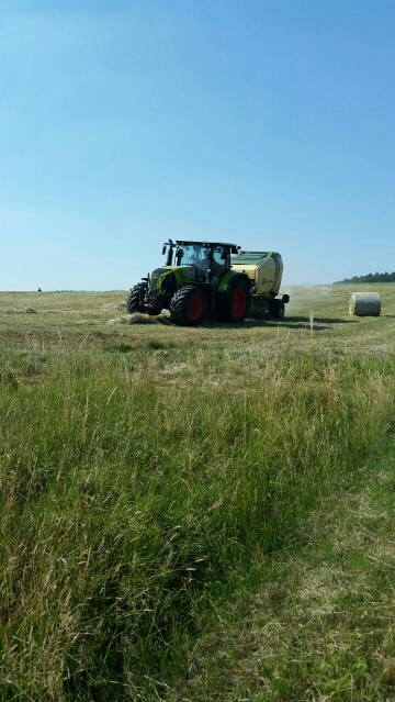 2015-08-05 22.30.10.jpg