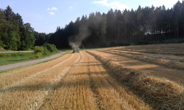 20150806_175311 (640x384).jpg