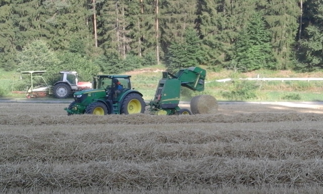 20150806_181335 (640x384).jpg