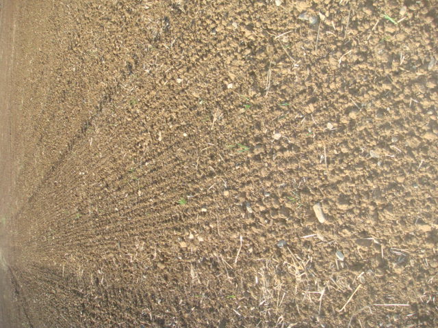 Gepflügt gekreiselt und saatfertig gewalzt.JPG