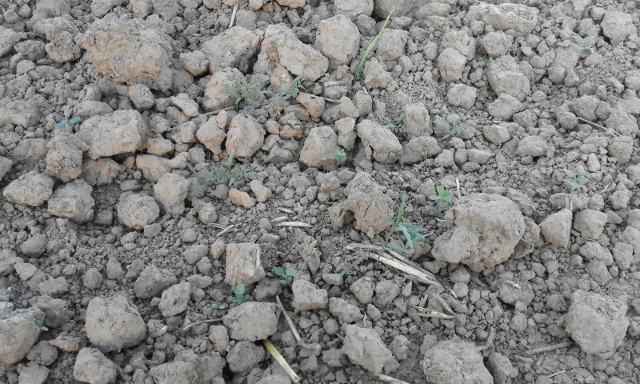 IMG-20150811-WA0031 (640x384).jpg