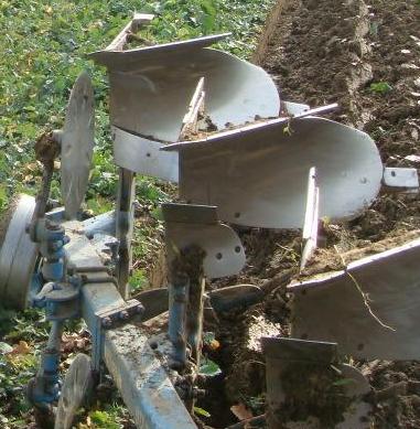 Raps Einpflügen.JPG