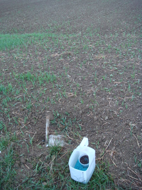 Grenzstein am Rapsacker.JPG