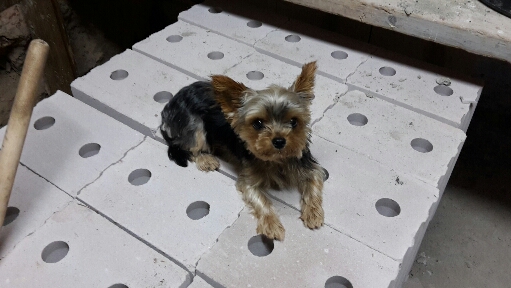 2015-09-01 21.47.58.jpg