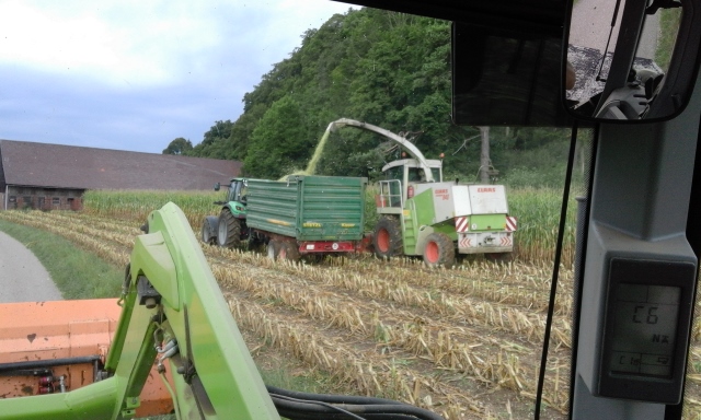 20150904_093112 (640x384).jpg