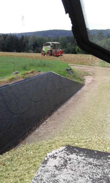 20150904_115044 (384x640).jpg