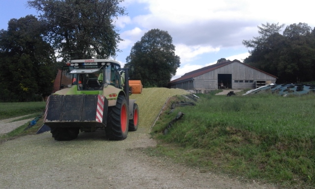 20150904_134115 (640x384).jpg