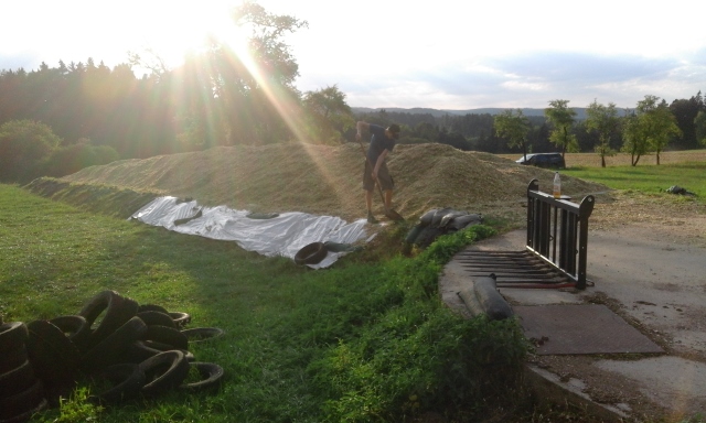 20150904_183145 (640x384).jpg