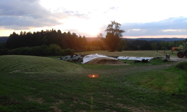 20150904_192737 (640x384).jpg