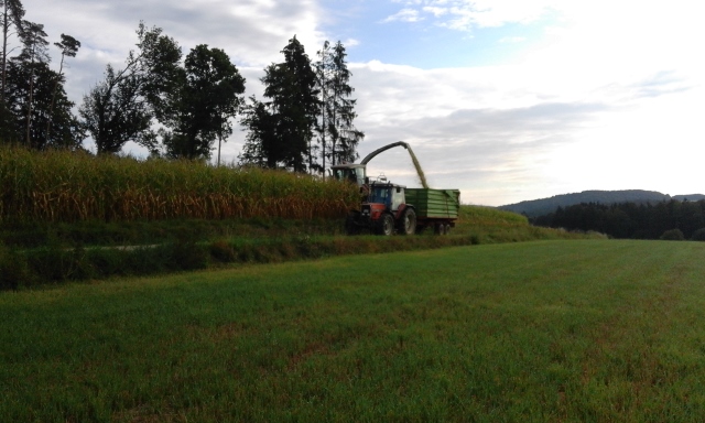 20150904_084555 (640x384).jpg