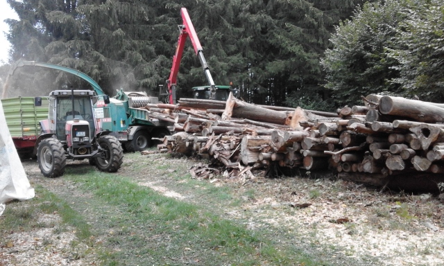 20150903_142410 (640x384).jpg