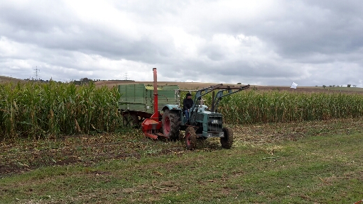 2015-09-06 21.10.44.jpg