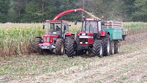 2015-09-06 21.08.35.jpg