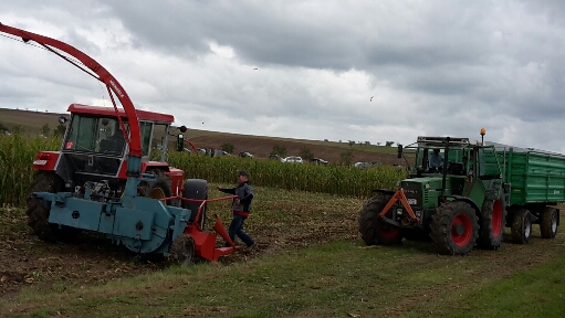 2015-09-06 21.07.43.jpg