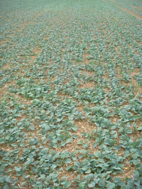 Wini Raps Adriana 13.9.JPG