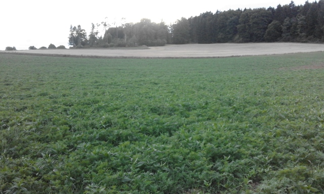 20150916_184113 (640x384).jpg