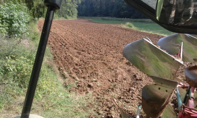 20150910_103839 (640x384).jpg