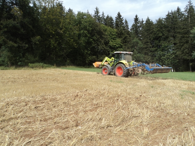 DSC04107 (640x480).jpg