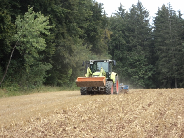 DSC04104 (640x480).jpg