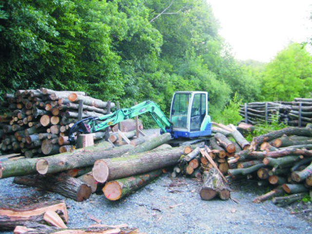 Lager aufräumen.jpg