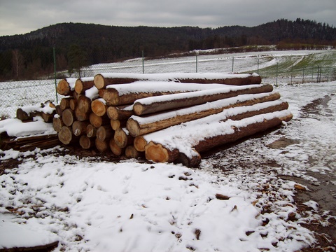 Polterholz.jpg