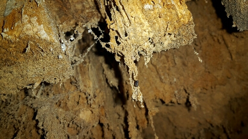 2015-10-04 10.46.29.jpg