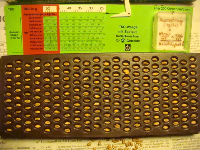 Elixer TKG 48 2015.JPG