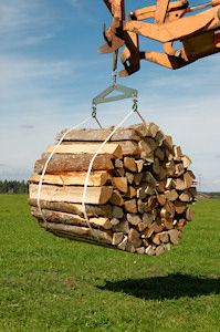 Holzspalter--1277167.jpg