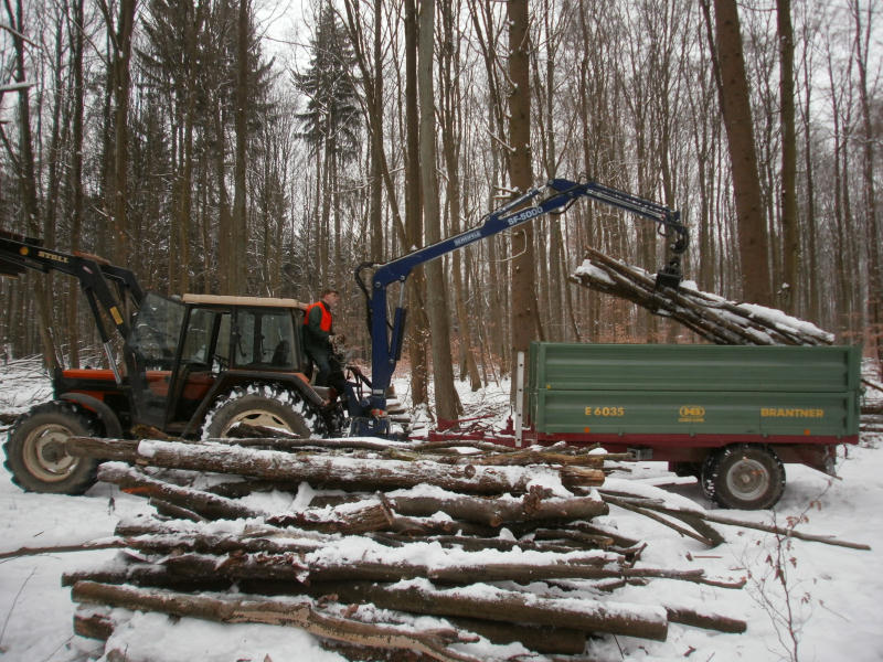 Polter verladen1.jpg