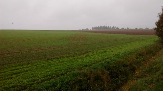 IMG_20151018_105601761 (640x360).jpg