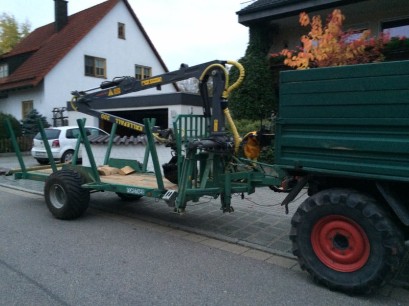 IMG_8465 [800x600].jpg