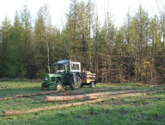 Brennholz1.JPG