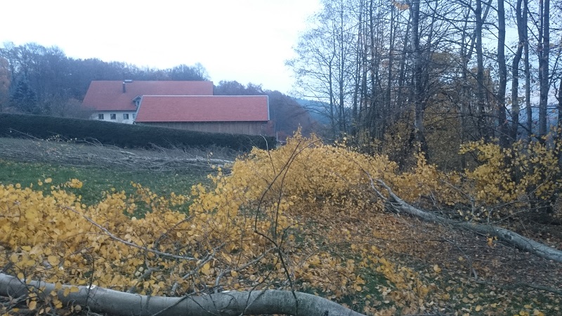 Herbst 2015 (11).JPG