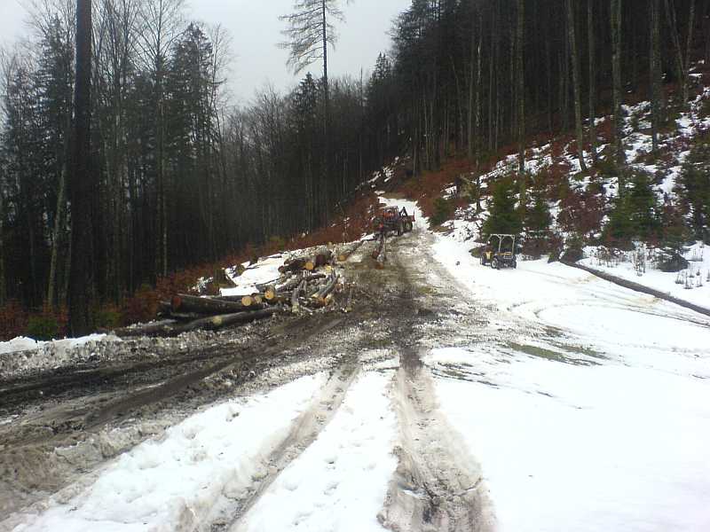winter3.jpg