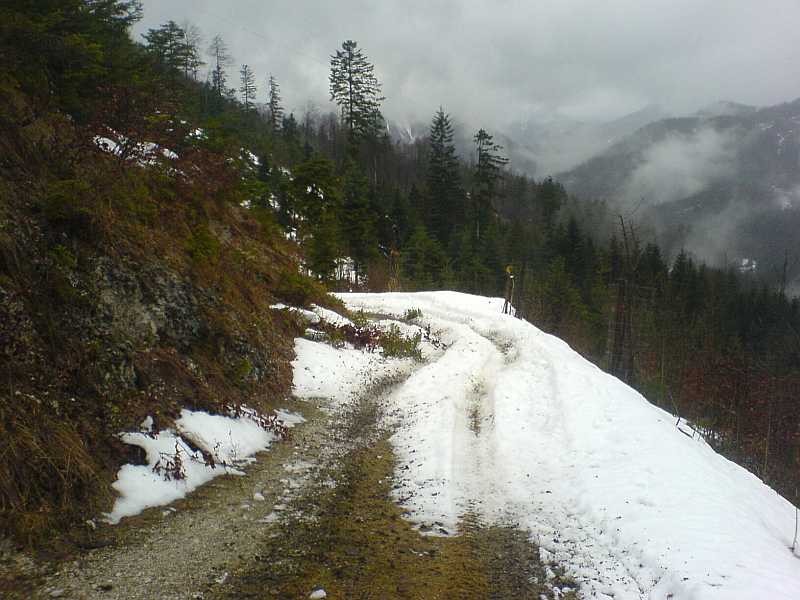 winter4.jpg