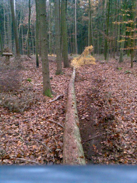 Bild085.jpg