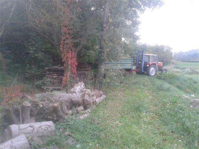 2015-10-10 09.49.15.jpg